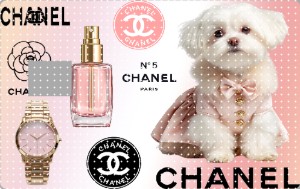 credit card- 545